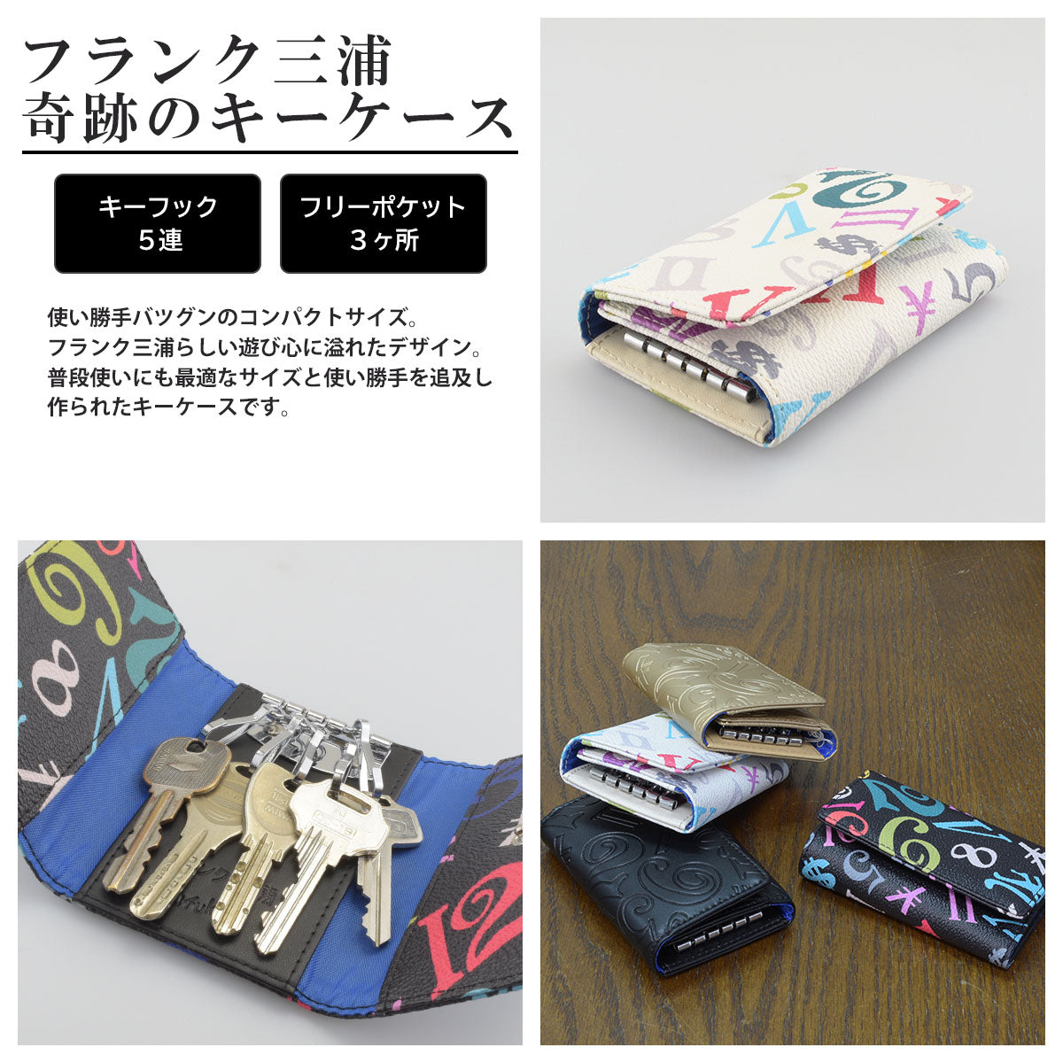 Frank Miura 5 Key Case Free Pocket FMKC01 Goods Year-end Party Prize Present